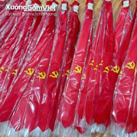 cavat-dai-hoi-dang (2)